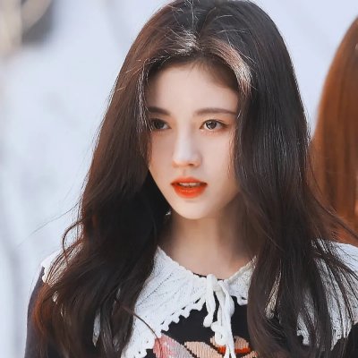 堪萨斯小猫